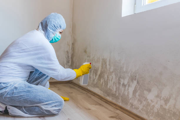 Hvac And Air Duct Mold Remediation inspection of HVAC system in Haymarket