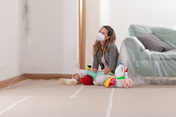 Mold Removal service in Haymarket