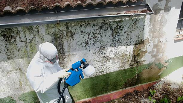 Mold Remediation service in Haymarket, Haymarket, VA